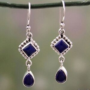 Adorable blue dangle earrings NWT